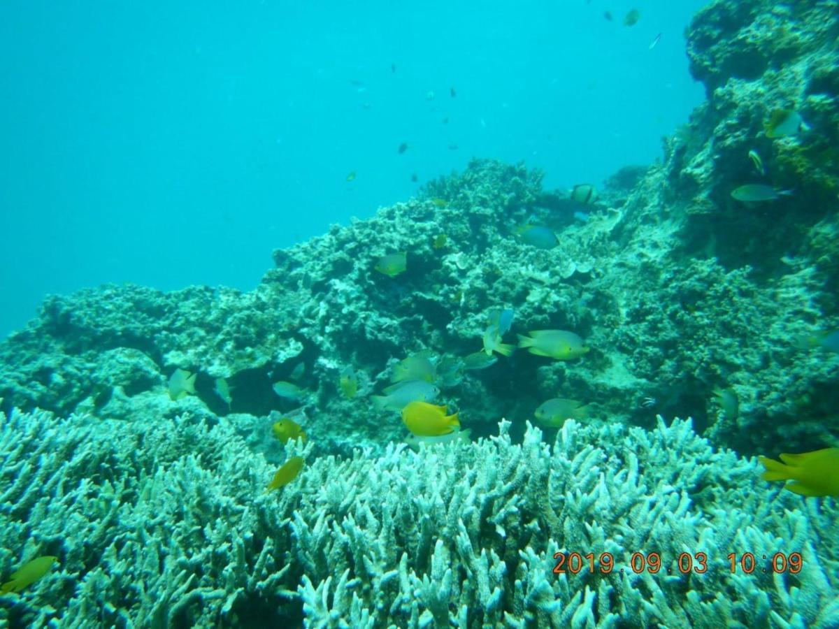 海之恋 Villa Miyakojima  Exteriör bild